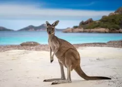 Jesenja putovanja - Australija i Nova Kaledonija - Hoteli