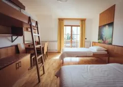 Vikend putovanja - Mariborsko Pohorje - Hoteli: Hotel Videc Forest 3*