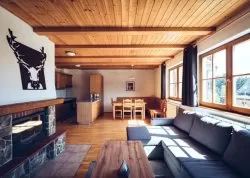 Vikend putovanja - Mariborsko Pohorje - Hoteli: Apartmani Bolfenk Family