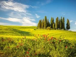 Metropole i znameniti gradovi - Toskana - Hoteli