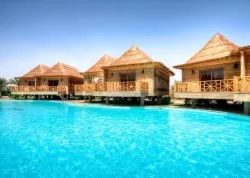Leto 2024, letovanje - Šarm el Šeik - Hoteli: Hotel Albatros Aqua Blue Resort 4*