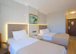 Vikend putovanja - Istanbul - Hoteli: Hotel Grand Ant 3*