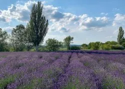 Vikend putovanja - Balaton - Hoteli