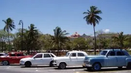 Havana