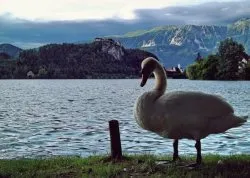 Vikend putovanja - Bled - Hoteli