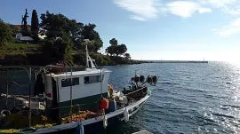 Neos Marmaras: Neos Marmaras