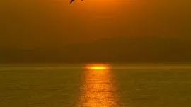 Kasandra: Kalitea, zalazak sunca