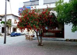 Leto 2026, letovanje - Kalitea - Apartmani: Ulica u Kalitei