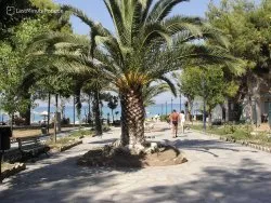 Leto 2026, letovanje - Sajamski popusti - Hoteli