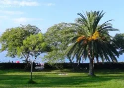 Leto 2026, letovanje - Hanioti - Apartmani: Plaža