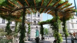 Segedin: Anna k&uacute;t 