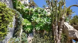 Monte Karlo: Ba&scaron;ta Exotic