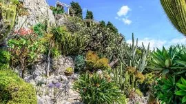 Monte Karlo: Botanička ba&scaron;ta