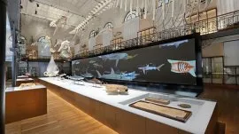 Monte Karlo: Unutra&scaron;njost muzeja okeanografije