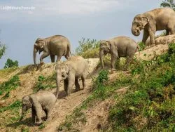 Leto 2026, letovanje - Sajamski popusti - Hoteli