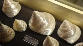 Bodrum: Pomorski muzej