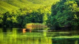 Ohrid: Biljanini izvori