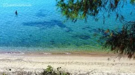 Metamorfozis: More i plaža