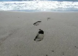 Leto 2026, letovanje - Sajamski popust - Hoteli: Plaža na Adi Bojani