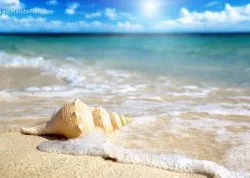 Leto 2026, letovanje - Nei Pori - Apartmani: Plaža