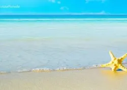 Leto 2026, letovanje - Nei Pori - Apartmani: Plaža 