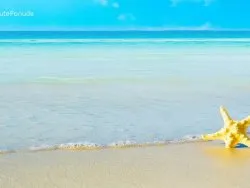 Leto 2026, letovanje - Sajamski popusti - Hoteli