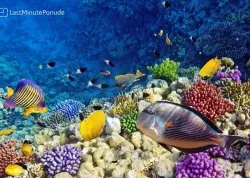 Leto 2026, letovanje - Sajamski popusti - Hoteli: Morski svet