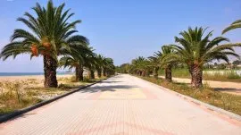 Nea Flogita: &Scaron;etali&scaron;te