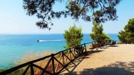 Metamorfozis: Pogled na more