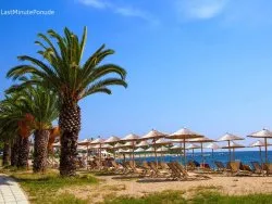 Leto 2026, letovanje - Sajamski popust - Hoteli