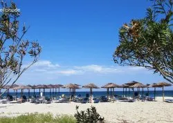 Leto 2026, letovanje - Paralija - Apartmani: Plaža