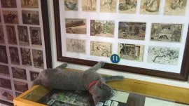 Kotor: Muzej mačaka