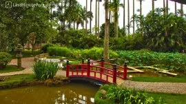 Rio de Žaneiro: Botanička ba&scaron;ta