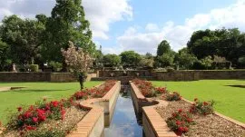 Johanesburg: Botanička ba&scaron;ta