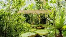 Oslo: Botanička ba&scaron;ta