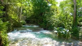 Jamajka: Vodopad Mayfield 