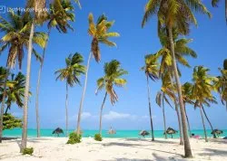 Prolećna putovanja - Tanzanija i Zanzibar - Hoteli: Plaža