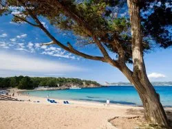 Prvi maj - Sajamski popusti - Hoteli