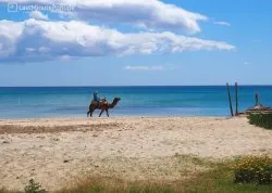 Leto 2026, letovanje - Tunis - Hoteli: Plaža