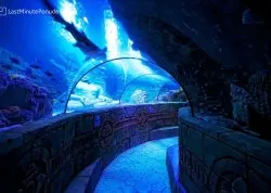 Lido di Jesolo - Hoteli: Akvarijum morski život