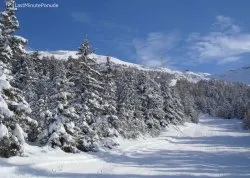 Zimovanje 2026, skijanje - Bormio - Hoteli