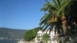 Herceg Novi: &Scaron;etali&scaron;te Pet Danica