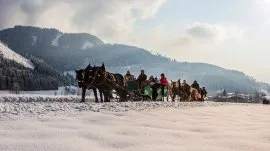 Katschberg: Prevoz kočijama