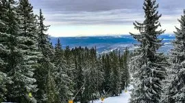 Borovec: Snežna idila