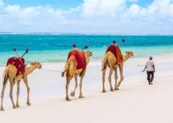 Jesenja putovanja - Kenija - Hoteli