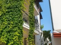 Leto 2026, letovanje - Nea Flogita - Apartmani