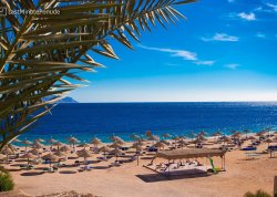 Leto 2022, letovanje - Šarm el Šeik - Hoteli: Plaža