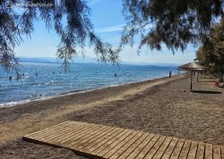Leto 2022, letovanje - Evia - Apartmani: Lefkandi plaža
