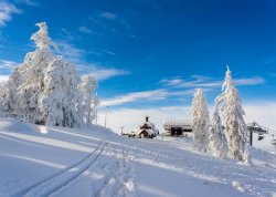 Jesenja putovanja - Zlatibor - Apartmani: Zima na Zlatiboru