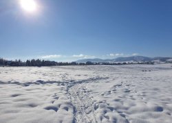 Jesenja putovanja - Zlatibor - Apartmani: Konak K29 - Zlatiborski konaci